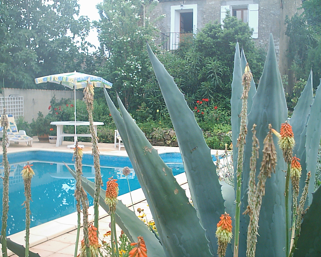 A view of the lovely pool